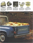 1981 Chevy Pickups-05